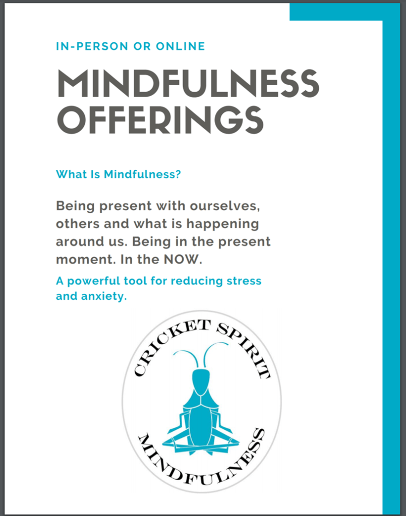 Cricket Spirit Mindfulness